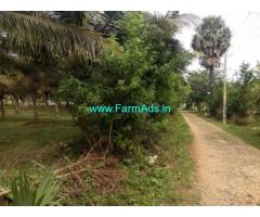 1.3 Acres Coconut Farm Land for sale at Kozhinjampara