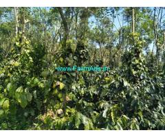 11 Acres Coffee Plantation for Sale in Mudigere,near Highway