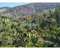 Neglected 150 Acres Coffee Estate for sale in Mudigere, near Highway