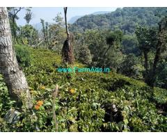 70 Acres Robusta Coffee Estate for Sale in Chikmagalur,Highway attached