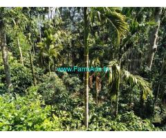 70 Acres Robusta Coffee Estate for Sale in Chikmagalur,Highway attached
