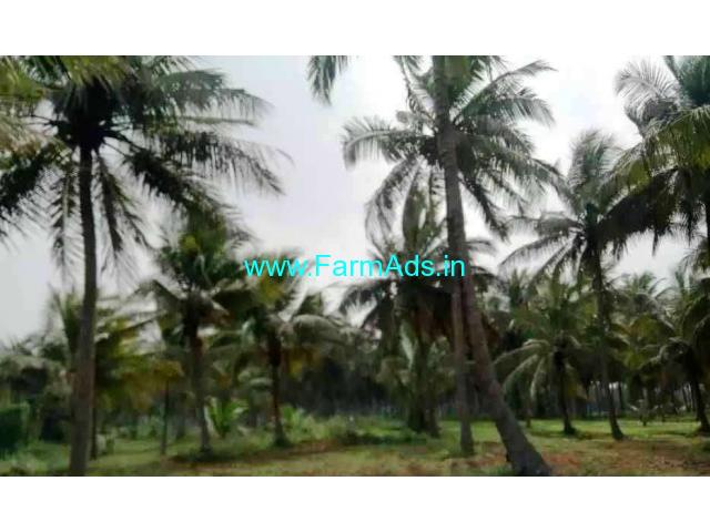 2 Acres Coconut Farm Land for sale near Senjerimalai Coimbatore