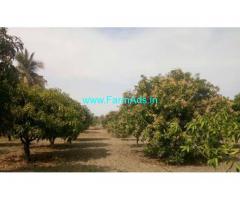 7 acres mango groove for sale 30 kms from Madanapalli town