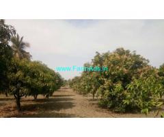 7 acres mango groove for sale 30 kms from Madanapalli town