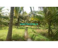 3 Acres Coconut Farm Land for sale in Thunkavi