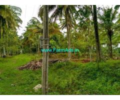 12.25 acres farm land for sale at basavapatna, arakalagud taluk, hassan