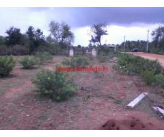 5 Acres Agriculture land for sale in Tiptur - Tumkur