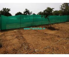 12 Acres Mango Garden for Sale near Hathnoora,Patancheru