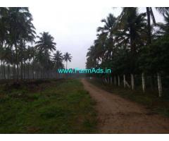 2 Acres Coconut Farm Land for sale at Periyapatti