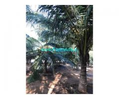 3.5 Acres Coconut Farm Land with Farm House for sale at Palladam