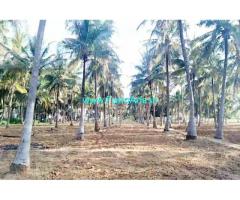 2 acre coconut farm for sale at Channapatna, 2 KM from mysore highway