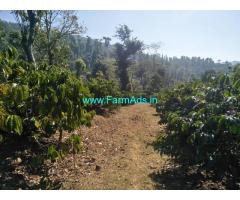 65 acre robusta and arebica plantation for sale