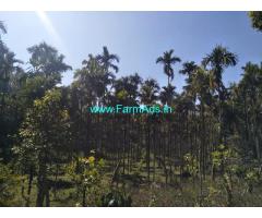 65 acre robusta and arebica plantation for sale