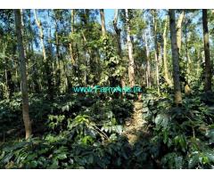 20 acre coffee estate sale in Belur, Hassan district, Close to Highway