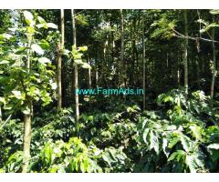 20 acre coffee estate sale in Belur, Hassan district, Close to Highway