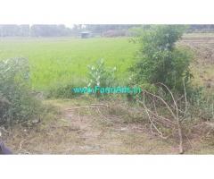 5 acre agriculture land for sale in Rajapalayam. . EB free for life long