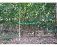 35 acre rubber plantation at for sale at Udupi District, 33 acre patta.
