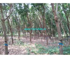 35 acre rubber plantation at for sale at Udupi District, 33 acre patta.