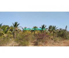 5 Acres Coconut Farm land for sale at Chikmayakanahalli Taluk - Tumkur