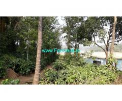 Well maintained 3 Acres Coffee estate for sale near Madikeri, main road