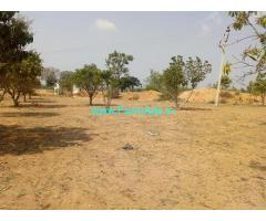 65 Acres Mango Farm for Sale near Kalwakurthy