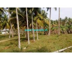 11 Acres Coconut Farm Land for sale near Vathalakundu