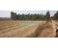 4 Acre Mango Farm Land for sale Mysore to Ooty Road