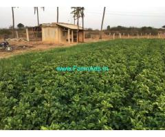 5 Acres Agricultural farm land for sale near Narsapura Industrial area