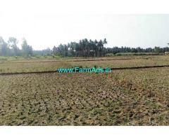 1.30 are plain Agriculture Farm Land for sale at Malavalli