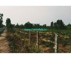 2 acre 30 gunta farm land for sale near Channapatna, custard apple