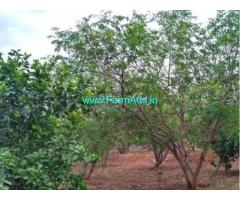 8.5 Acres Coconut Farm Land for sale near Vathalakundu