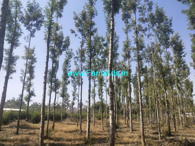 2 18 Acres Silver Oak Plantation For Sale 5 Kms From Belur Belur Hassan Farmads In