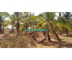 4 Acres agricultural farm land for sale 18 KMS from Nagamangala town
