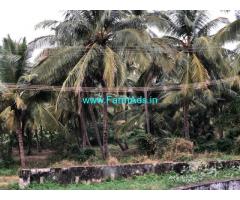 10 Acres Developed Coconut Farm for sale at Nagercoil,