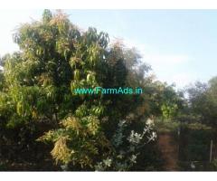 7 Acres Mango Farmland for Sale in Nimmanapalle