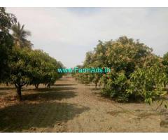 3.15 Acres Mango Farmland for Sale near Nimmanapalli