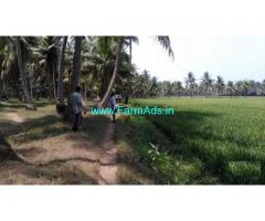0.7 Acres Agriculture Land for Sale near Pulletikurru,Amalapuram