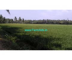 0.7 Acres Agriculture Land for Sale near Pulletikurru,Amalapuram
