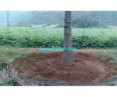 14.5 Acres Coconut Farm Land with Farm House for sale in Jallipatti