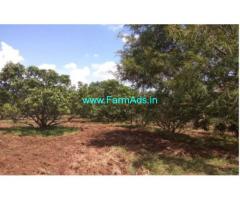 4 Acres Mango Farm Land for sale in Shenkottai