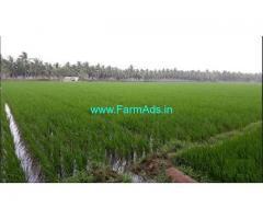 8.68 Acres Agriculture Land for Sale in Krapa,Ainavalli