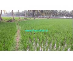8.68 Acres Agriculture Land for Sale in Krapa,Ainavalli