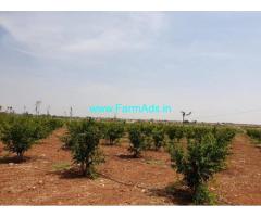 State Highway attached 34 Acres Agriculture Land for Sale in Madakasira