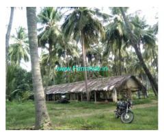 2.6 Acres Coconut Farm Land for sale in Vettaikaranpudur