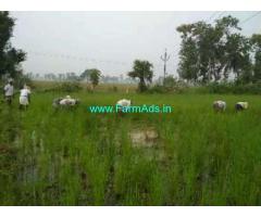 0.5 Acres Rice Field for Sale near Kotipalli,Kaikanada