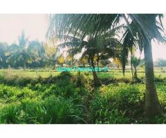 2 acre 16 gunta coconut farm for sale near Malavalli
