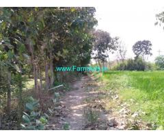 6 Acres Farm Land for Sale at Perapally,Vijayawada Highway