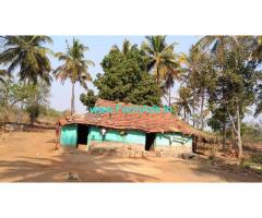 24 Acres 29 Gunta Agriculture Land for Sale near Mysore,Bogadi Gaddige Road