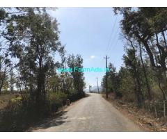4 Acres Coffee Estate for Sale in Chikmagalur
