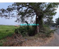 2 Acres Farm Land for Sale near Vinukonda,Narasaraopet Vinukonda Highway